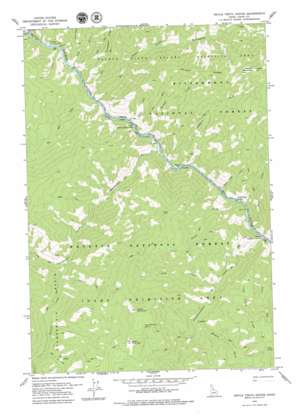 Devils Teeth Rapids USGS topographic map 45114d8