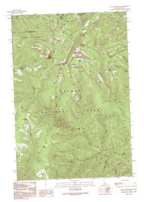 Nez Perce Pass USGS topographic map 45114e1
