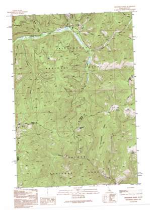 Henderson Ridge USGS topographic map 45114e2