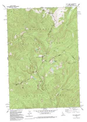 Blue Joint USGS topographic map 45114e5