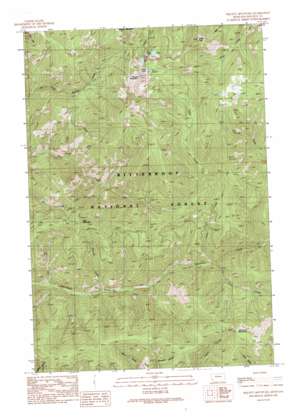 Piquett Mountain USGS topographic map 45114f2