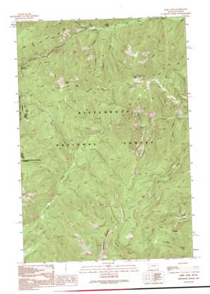 Bare Cone USGS topographic map 45114f4