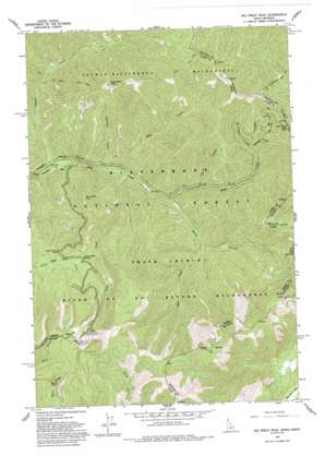 Nez Perce Peak USGS topographic map 45114f5