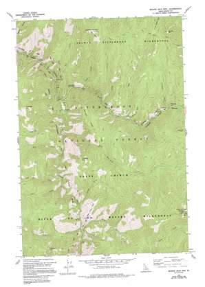 Beaver Jack Mountain topo map