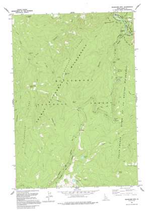 Magruder Mountain USGS topographic map 45114f7