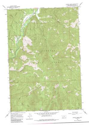 Piquett Creek topo map