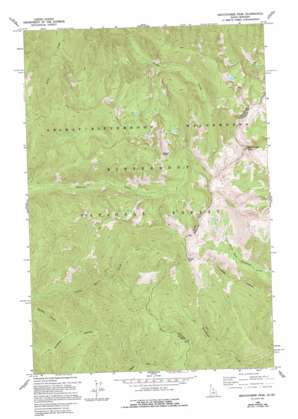 Watchtower Peak USGS topographic map 45114g5