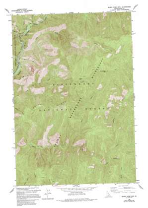 Burnt Strip Mountain USGS topographic map 45114g6