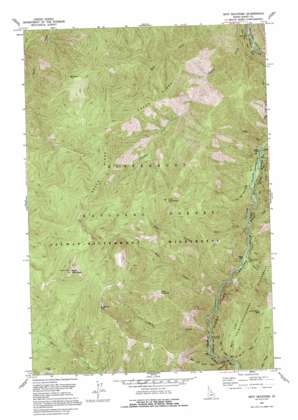 Spot Mountain USGS topographic map 45114g7