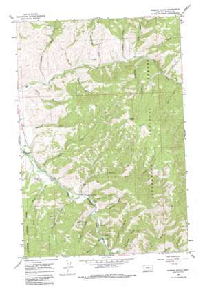 Robbins Gulch USGS topographic map 45114h1