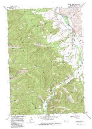 Burnt Ridge USGS topographic map 45114h2