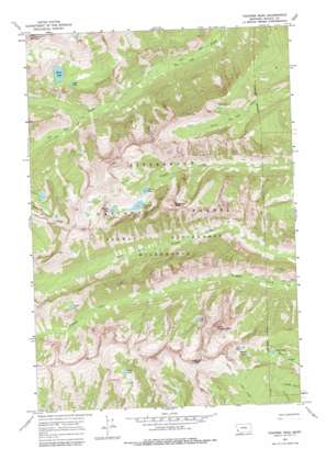 Trapper Peak USGS topographic map 45114h3