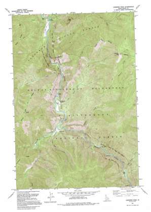 Gardiner Peak USGS topographic map 45114h7