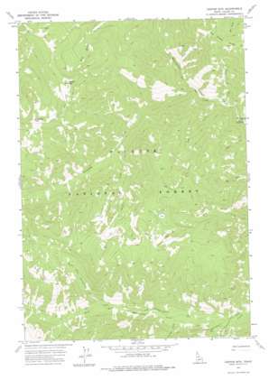Center Mountain USGS topographic map 45115a2