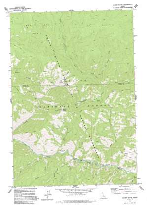 Acorn Butte topo map