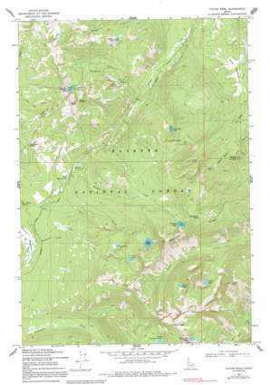 Victor Peak USGS topographic map 45115b8