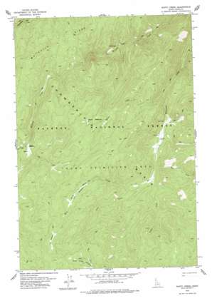 Wapiti Creek USGS topographic map 45115c1