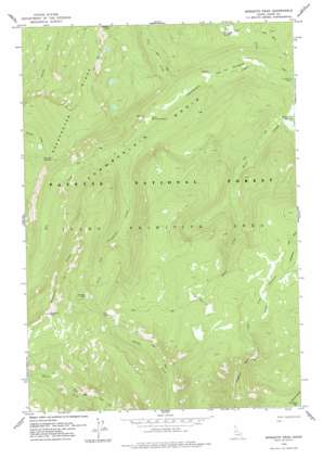 Mosquito Peak USGS topographic map 45115c3
