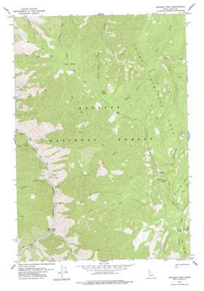 Chicken Peak USGS topographic map 45115c4