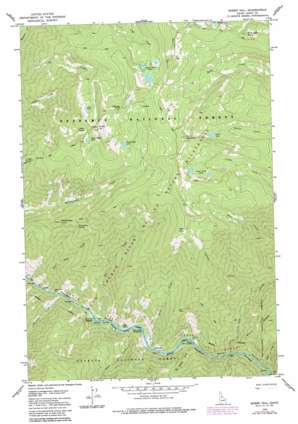 Sheep Hill USGS topographic map 45115e1