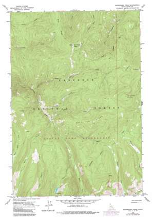 Sourdough Peak USGS topographic map 45115f7