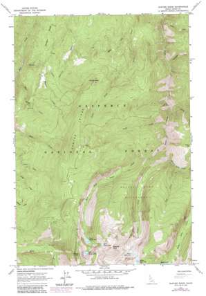 Sawyer Ridge USGS topographic map 45115f8