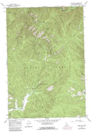 Sable Hill topo map