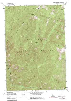 Vermilion Peak USGS topographic map 45115h2