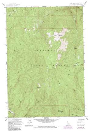 Iron Mountain USGS topographic map 45115h5