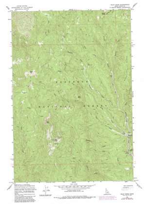 Iron Mountain USGS topographic map 45115h6