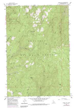 Corral Hill USGS topographic map 45115h7