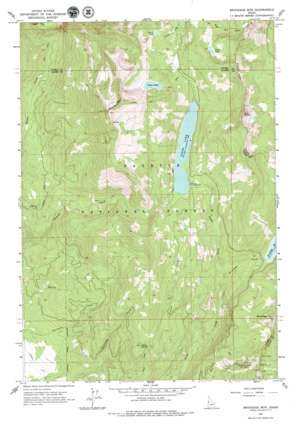 Brundage Mountain USGS topographic map 45116a2