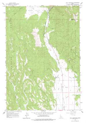 Bally Mountain USGS topographic map 45116a3