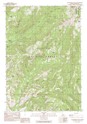 Butterfield Gulch USGS topographic map 45116a5