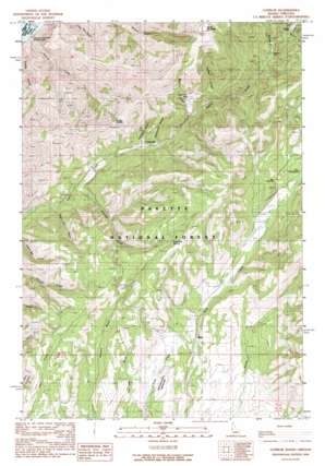 Cuprum USGS topographic map 45116a6