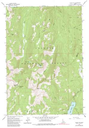 Black Tip USGS topographic map 45116b1