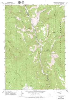 Indian Mountain USGS topographic map 45116b3