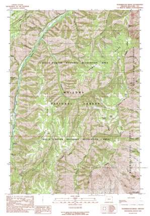 Puderbaugh Ridge USGS topographic map 45116b7