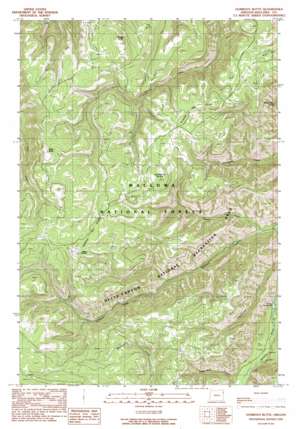 Gumboot Butte USGS topographic map 45116b8