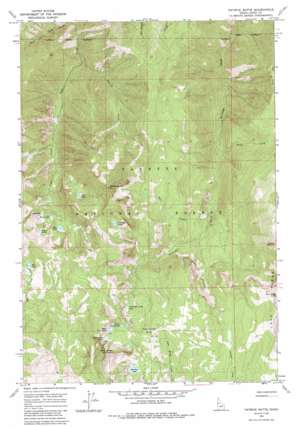 Patrick Butte topo map
