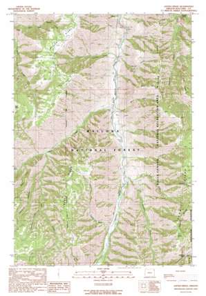 Jaynes Ridge USGS topographic map 45116c7