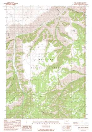 Harl Butte USGS topographic map 45116c8