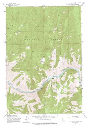 Riggins Hot Springs USGS topographic map 45116d2