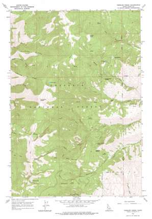Kessler Creek USGS topographic map 45116d4