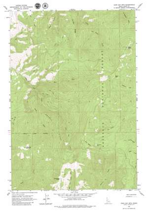 John Day Mountain USGS topographic map 45116e2