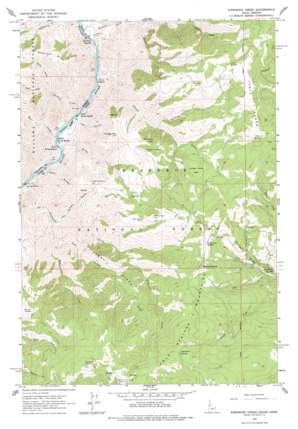 Kirkwood Creek USGS topographic map 45116e4