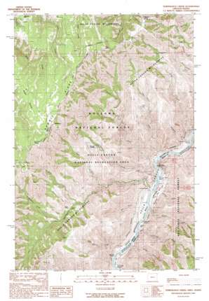 Temperance Creek USGS topographic map 45116e5