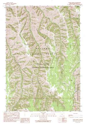 Sleepy Ridge USGS topographic map 45116e6