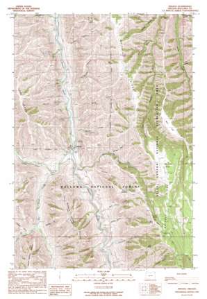 Imnaha USGS topographic map 45116e7