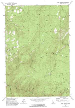 Dairy Mountain USGS topographic map 45116f1